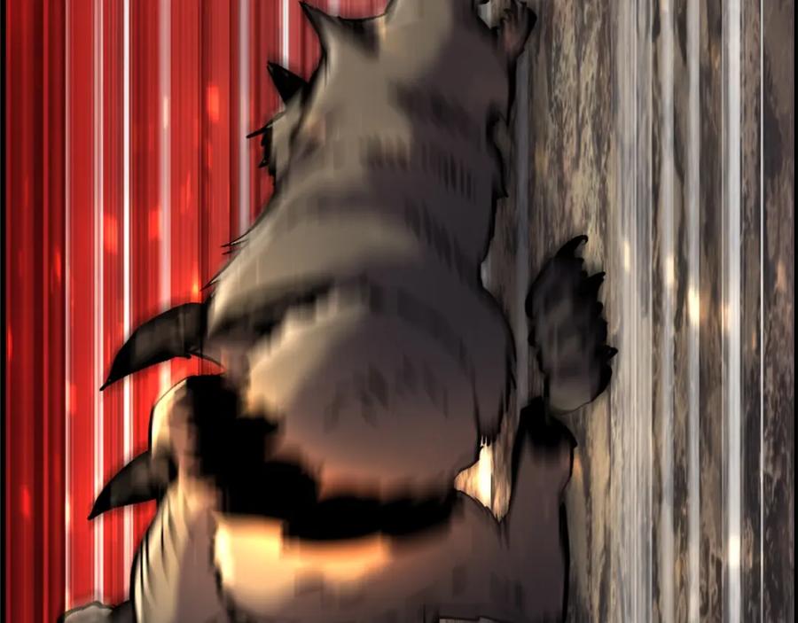 第242页