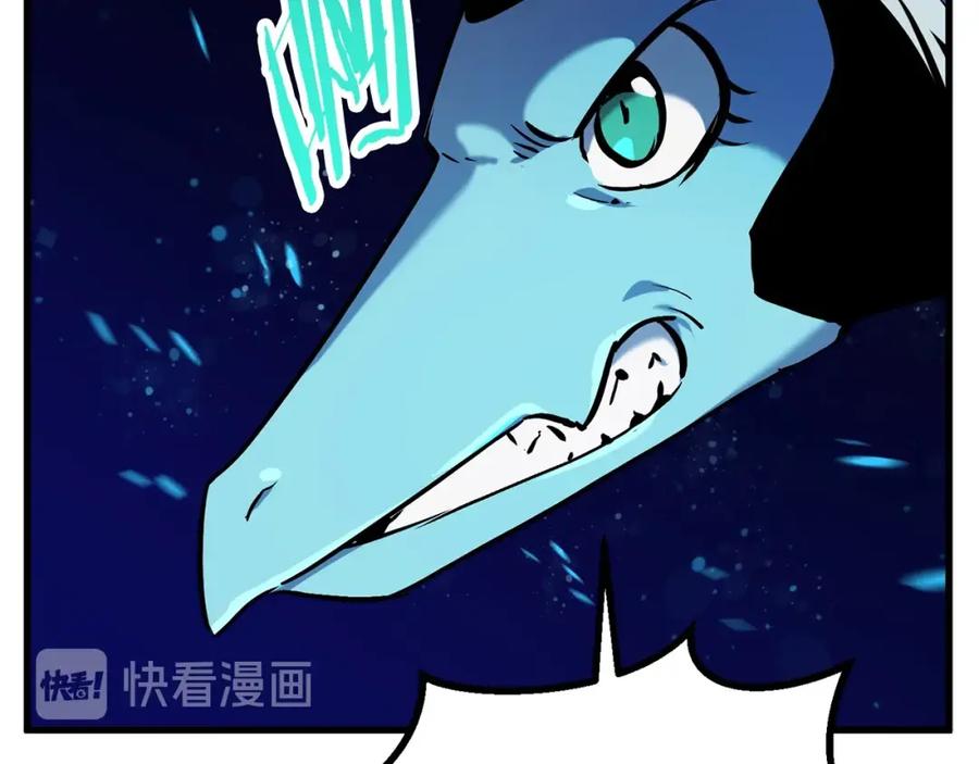 第215页