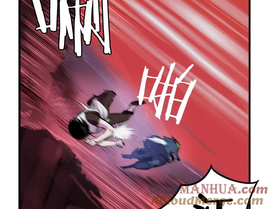 第205页