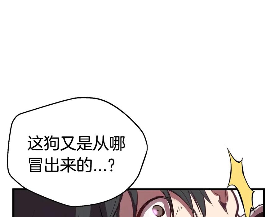 第210页