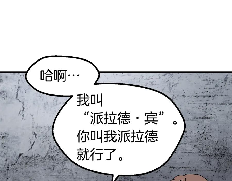第242页