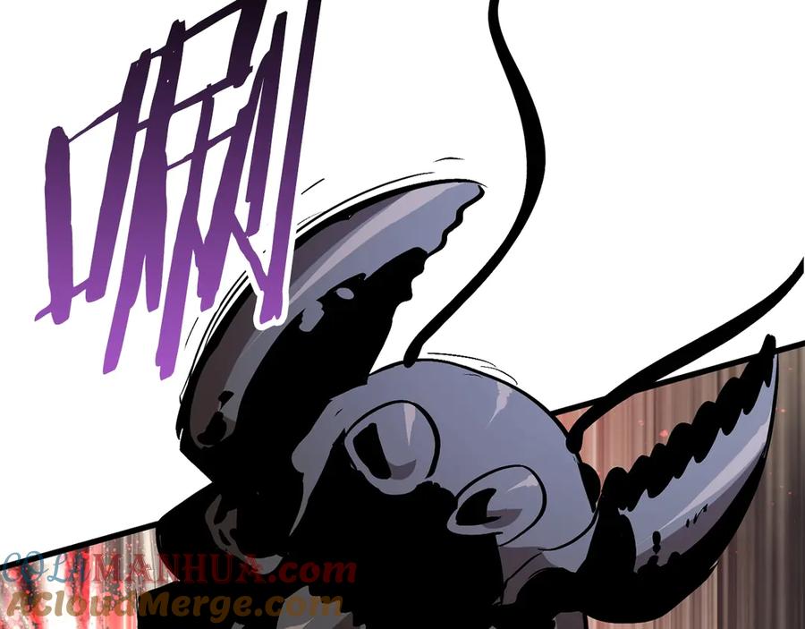 第241页