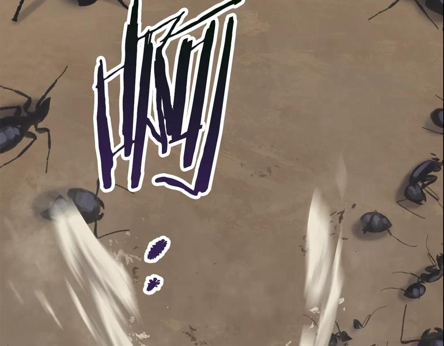 第240页