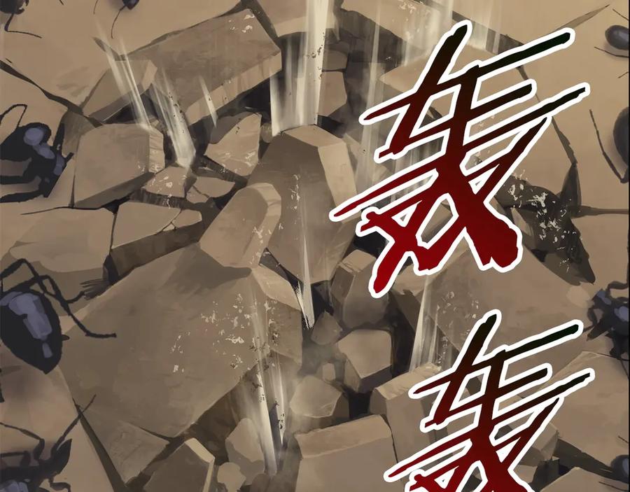 第244页