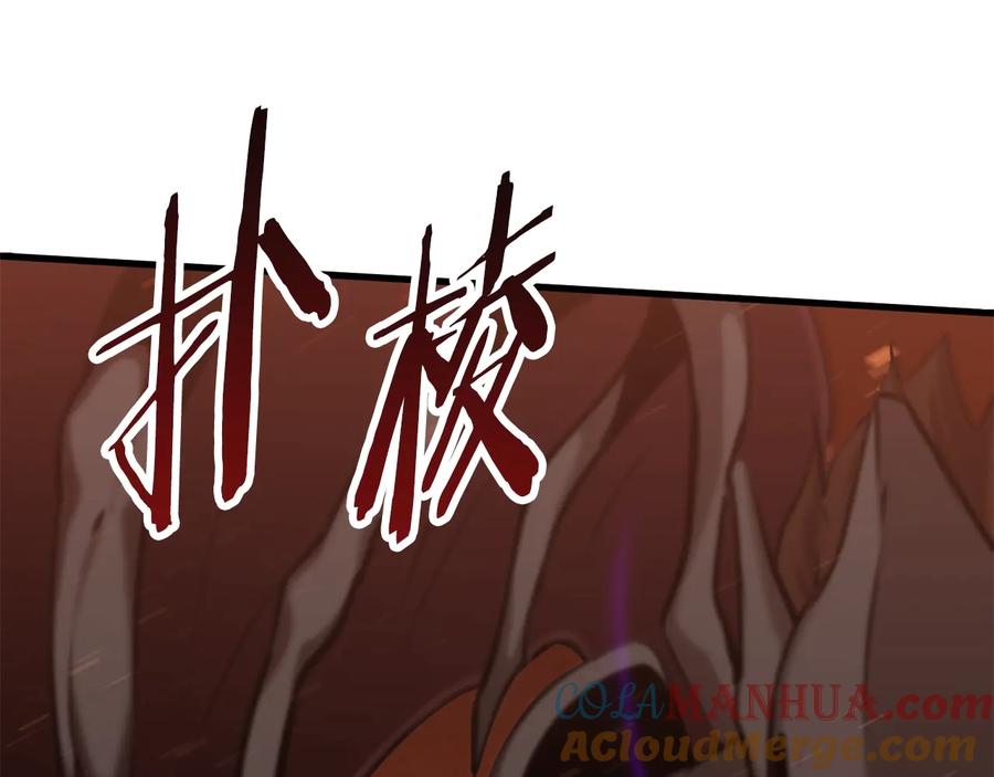 第217页