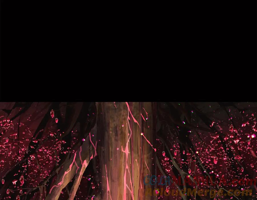 第257页