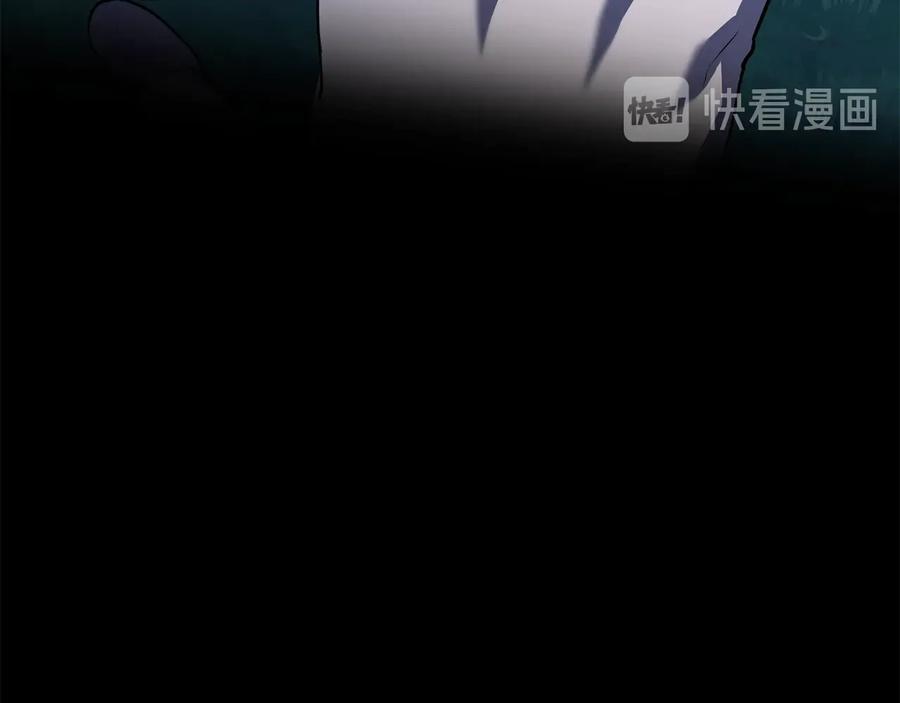 第260页