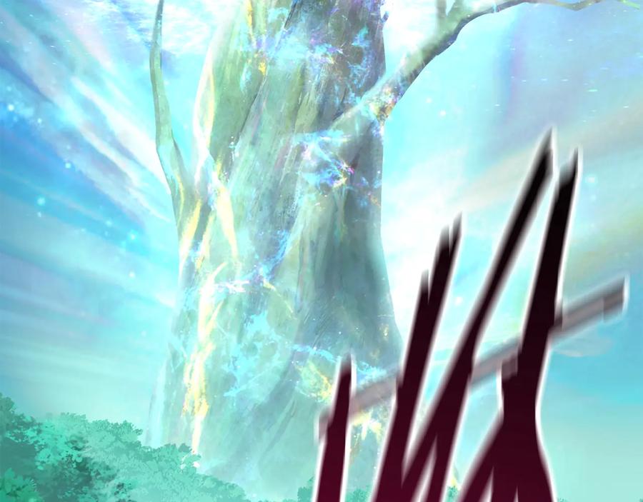 第204页