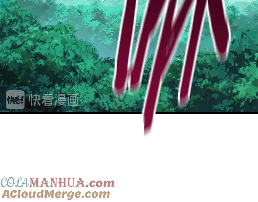 第205页