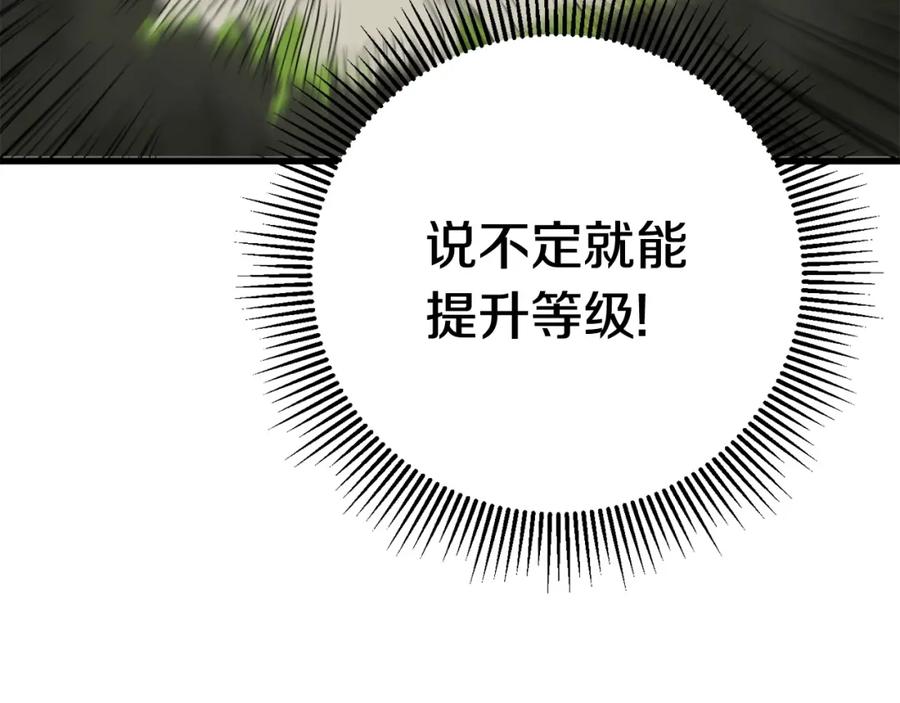 第240页