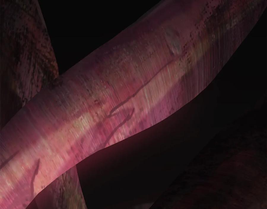第246页