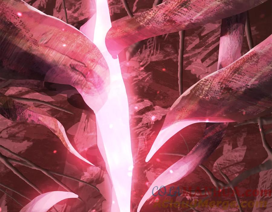 第249页