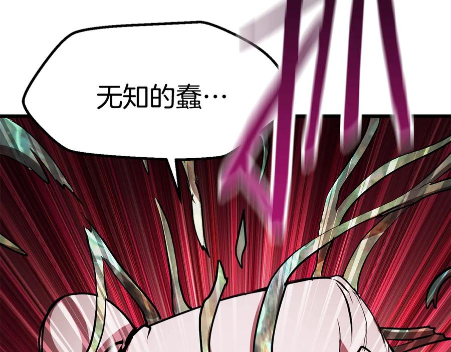 第255页
