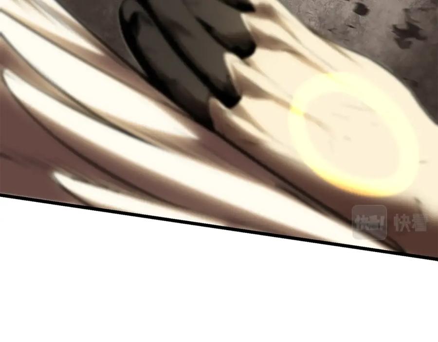 第244页