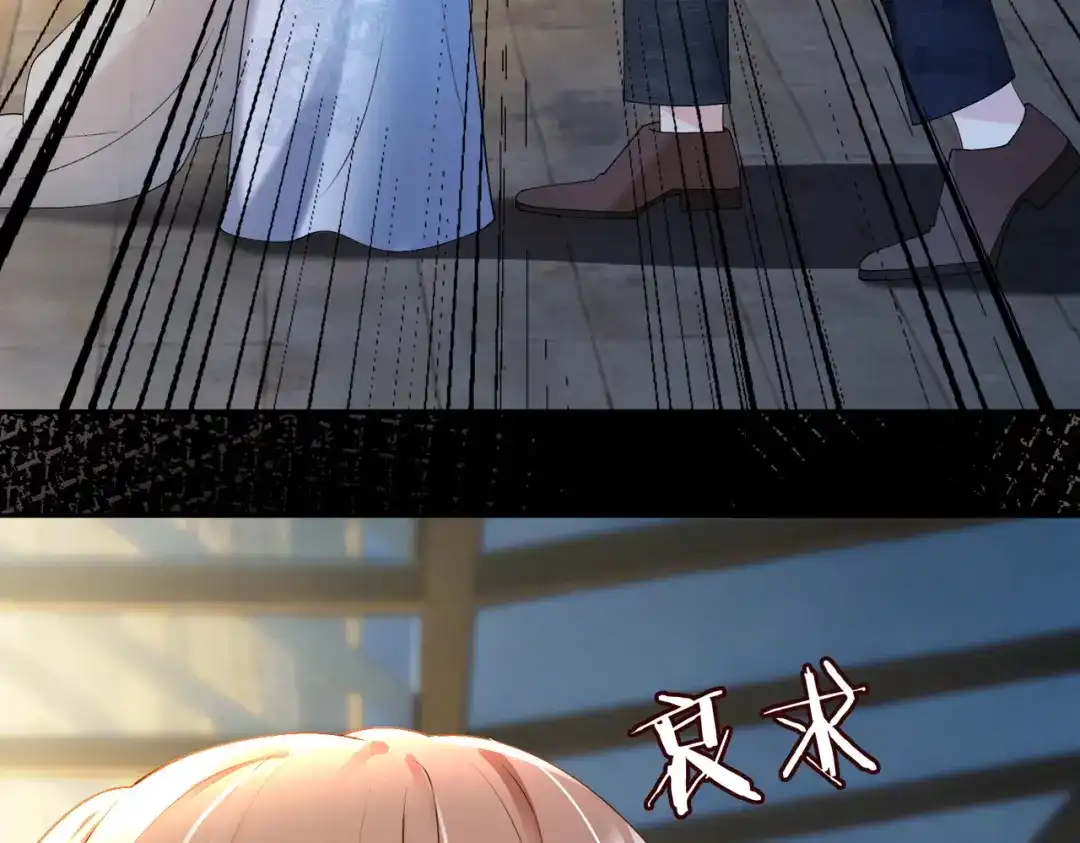 第255页