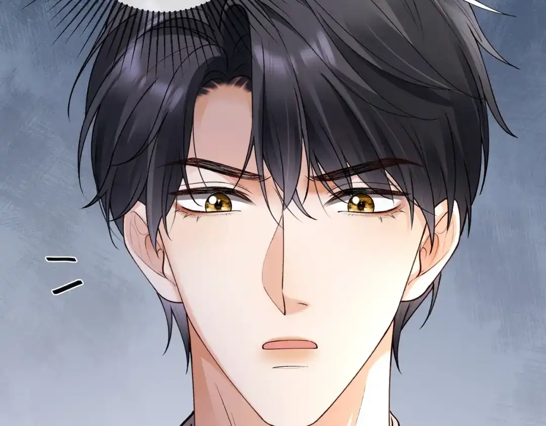 千亿总裁独宠替身娇妻 第139话 情难自禁 第208页