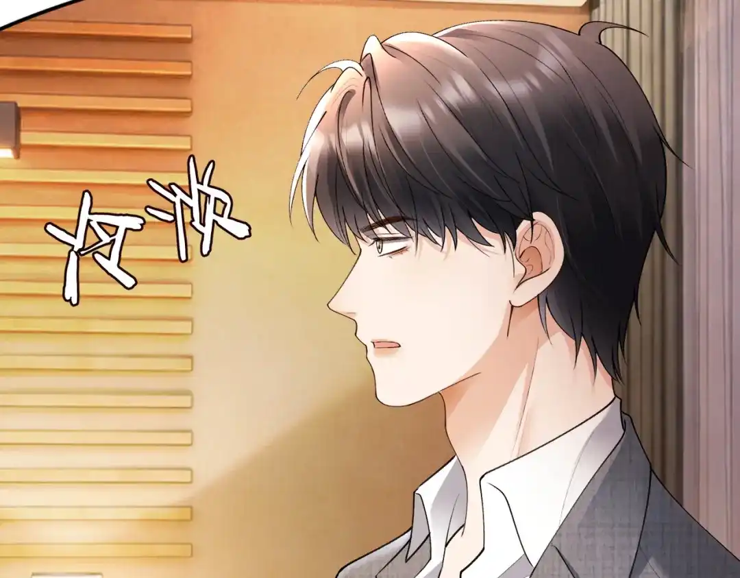千亿总裁独宠替身娇妻 第142话 担心你... 第81页