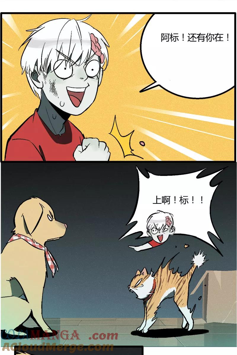 第17页