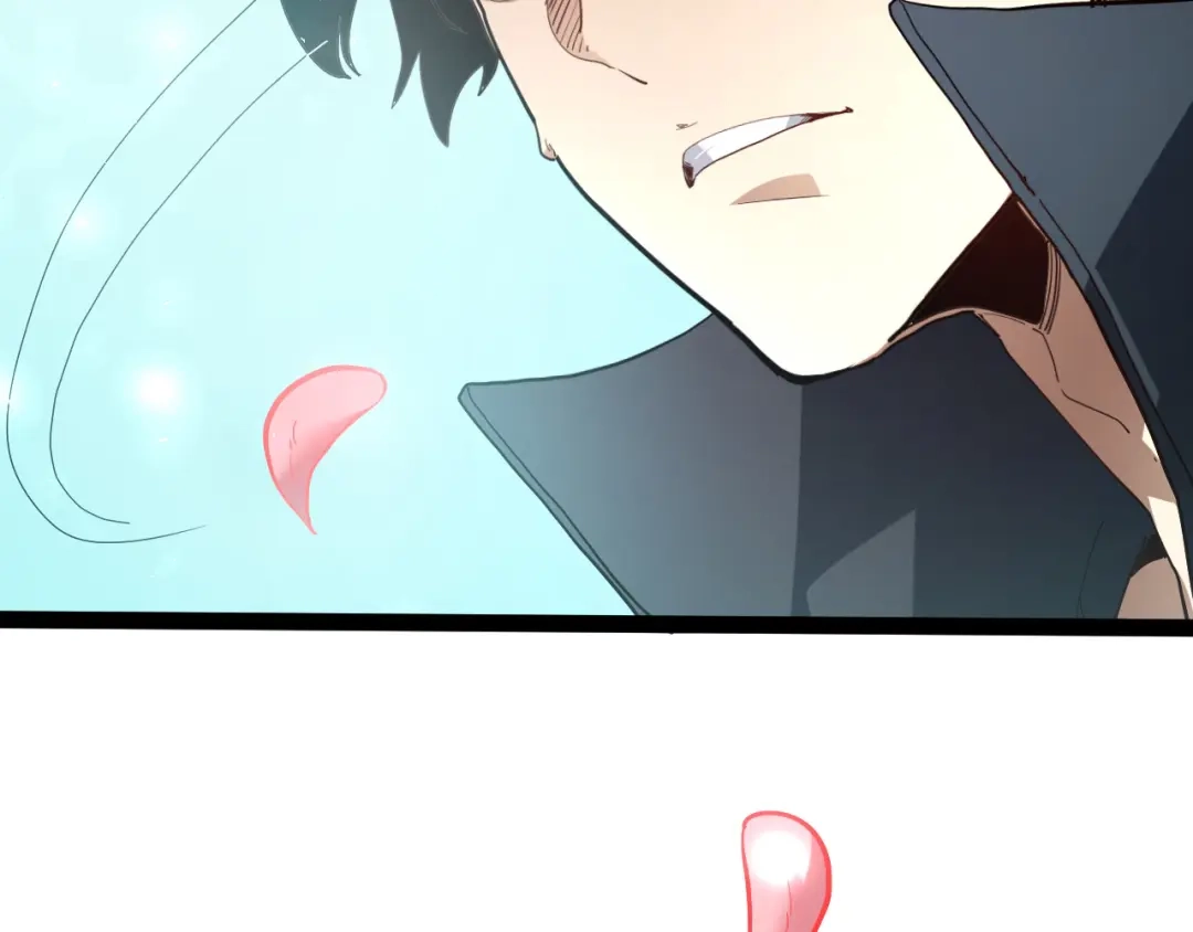 第204页
