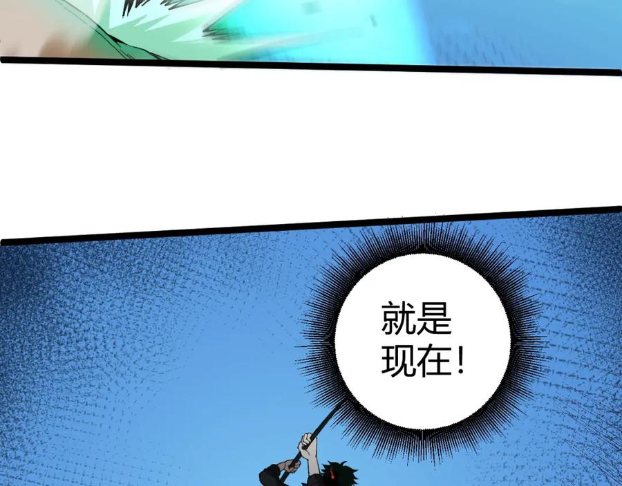 第223页