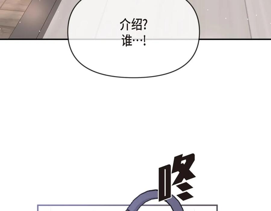 第223页