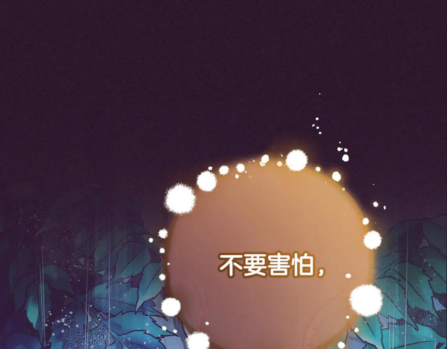 第223页