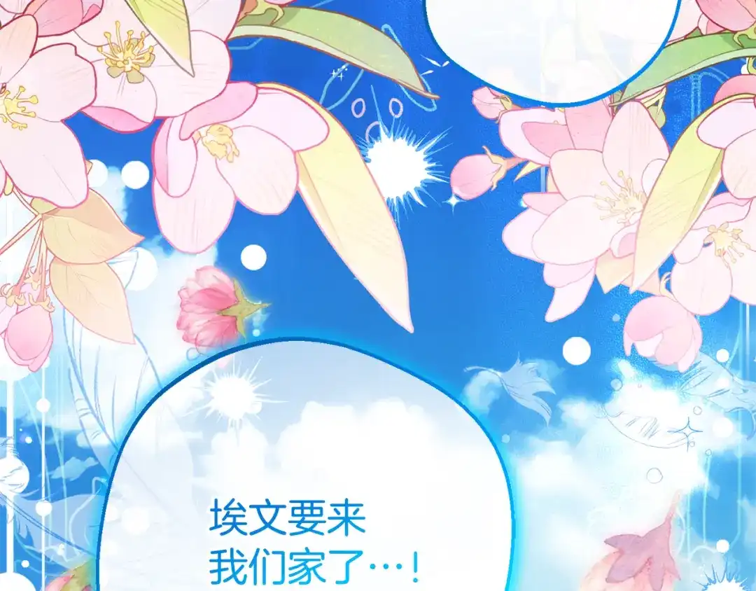 第205页