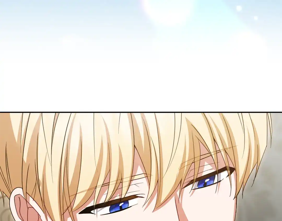 第221页