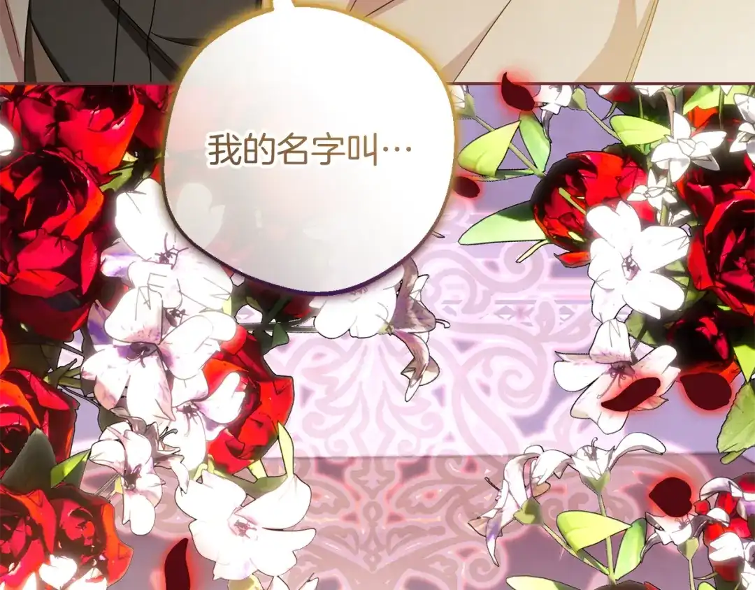 第242页