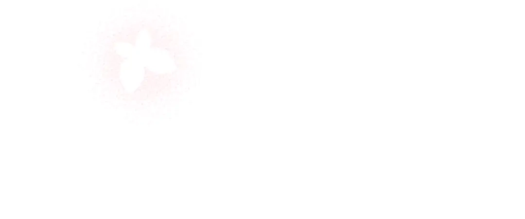第248页