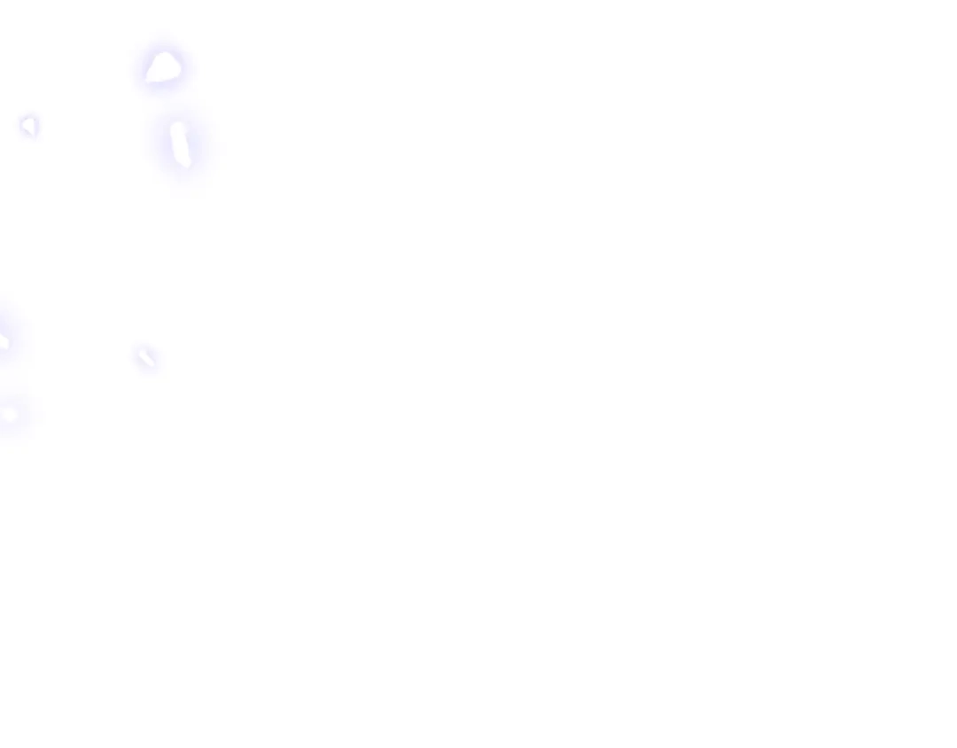 第205页