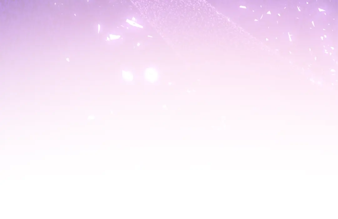 第236页