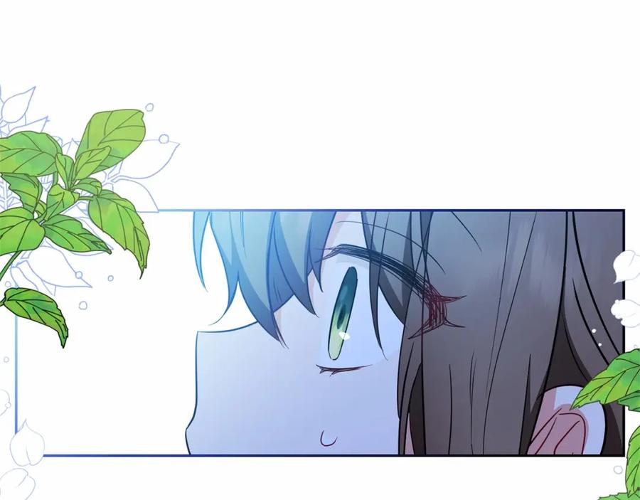 第242页