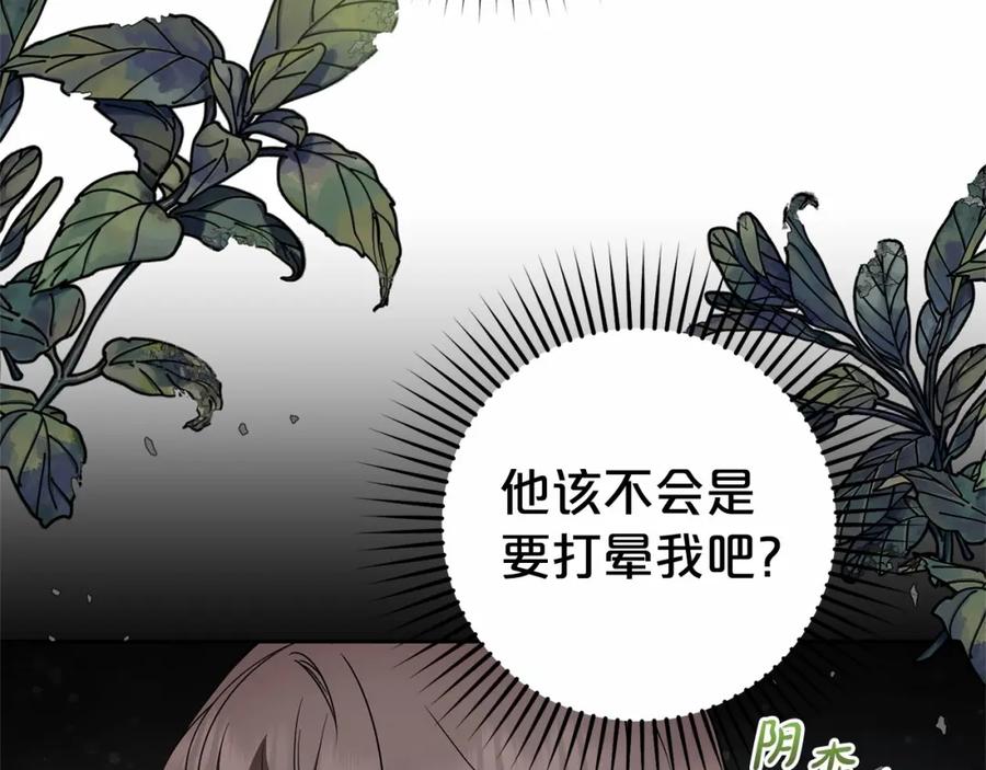 第244页
