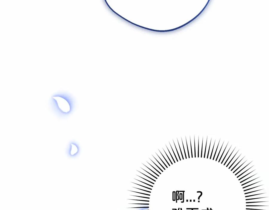 第248页