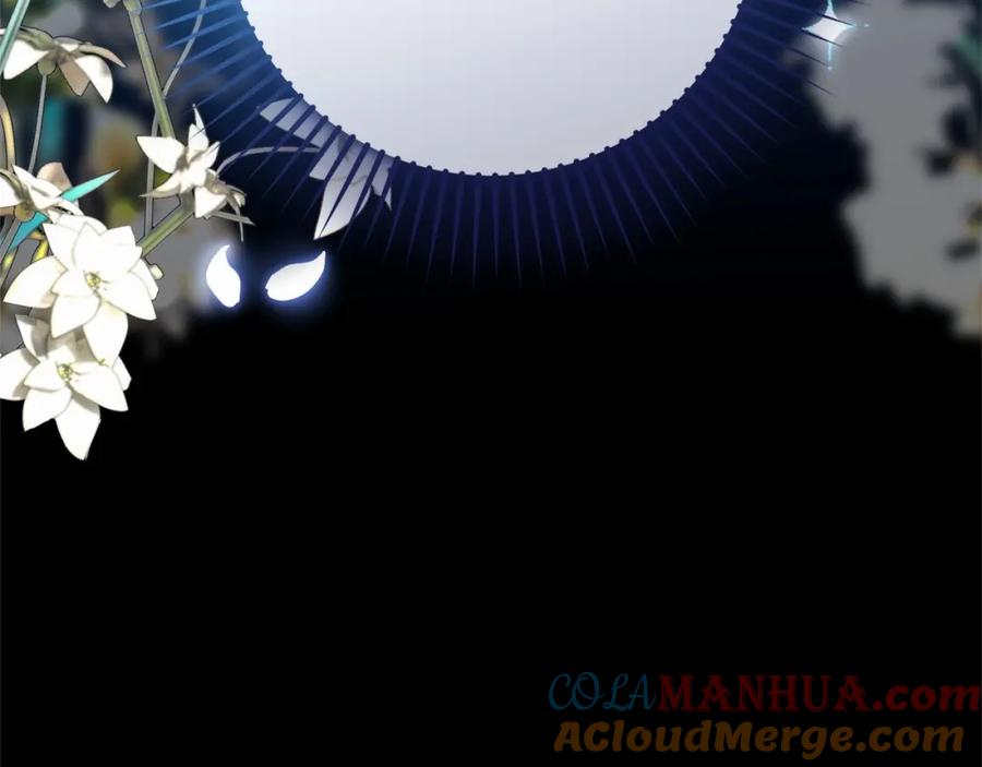 第253页