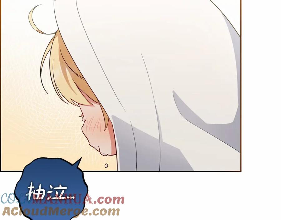 第205页