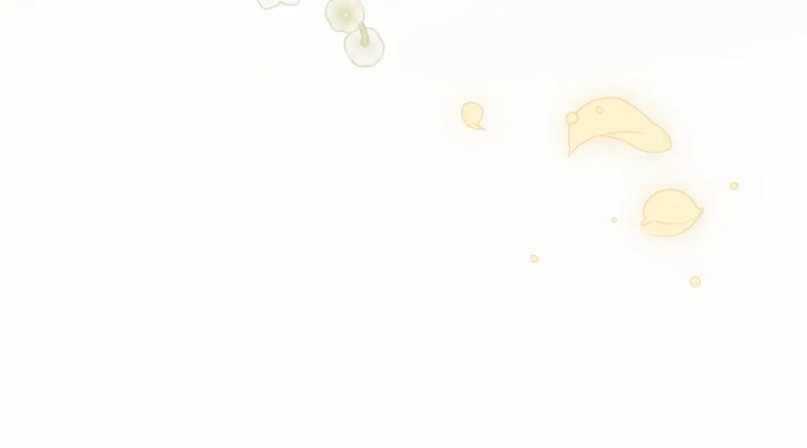 第204页