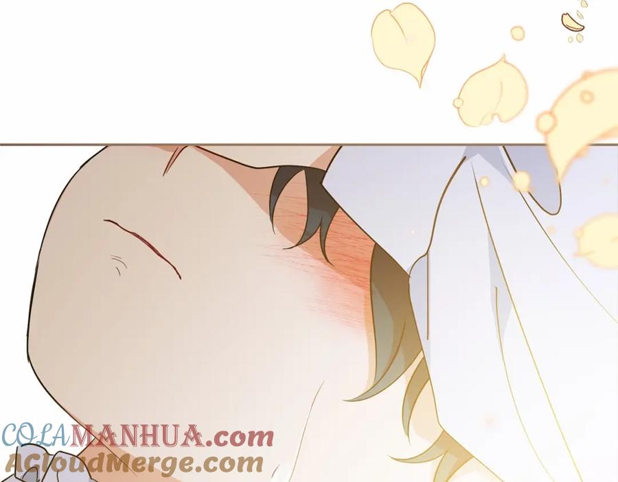 第215页