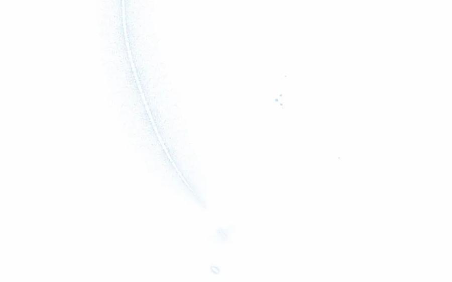 第235页