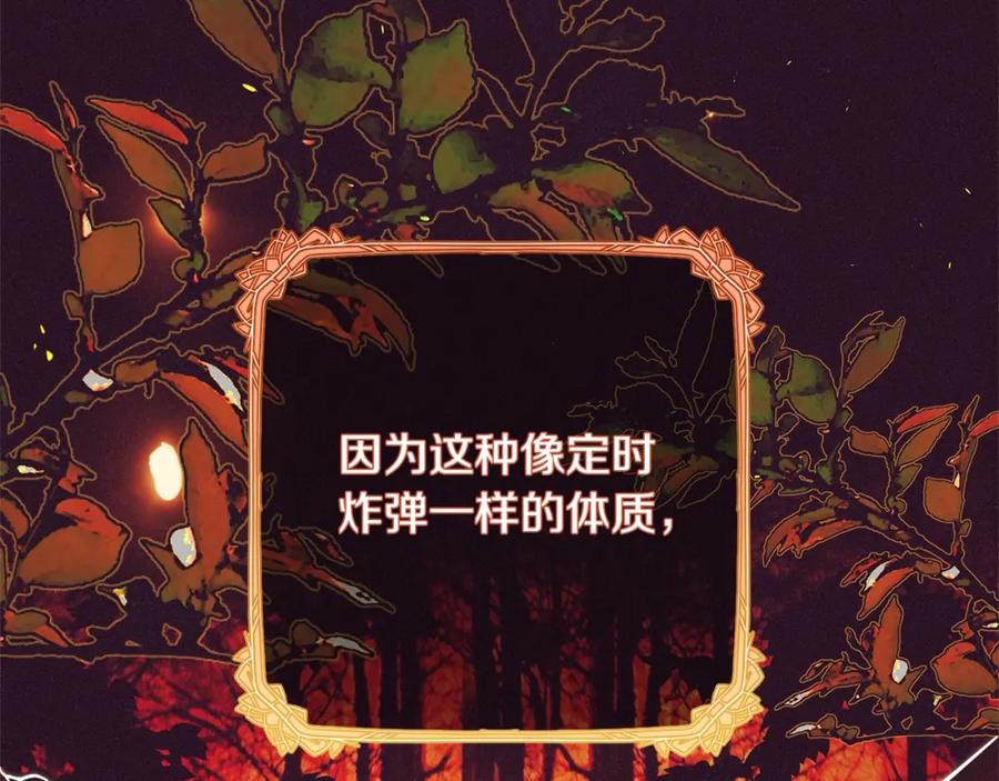 第215页