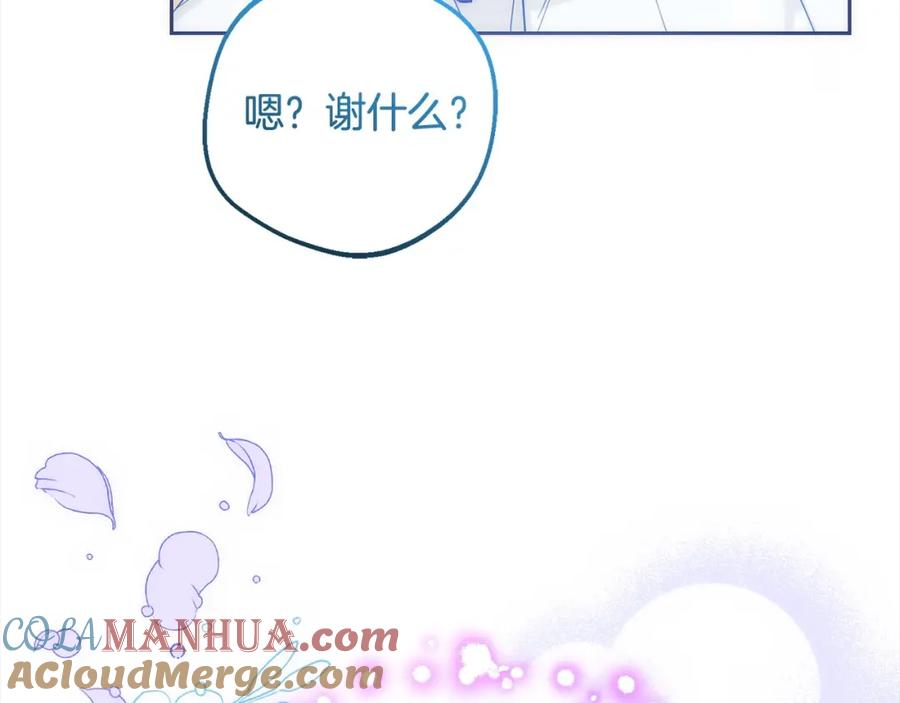 第205页
