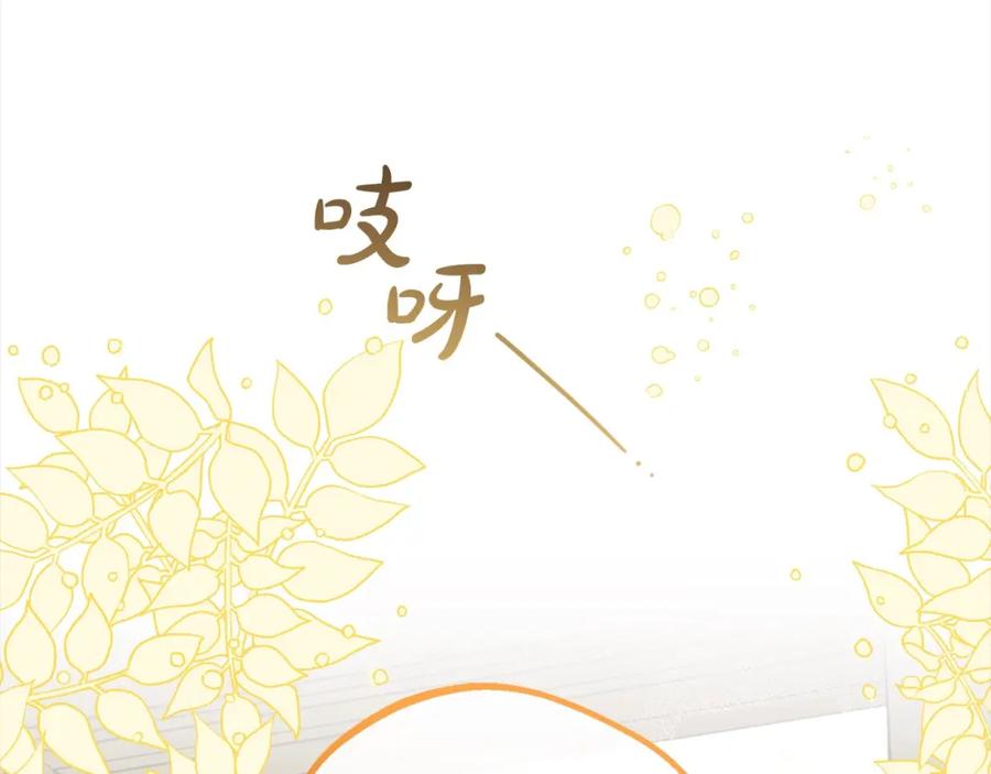 第219页
