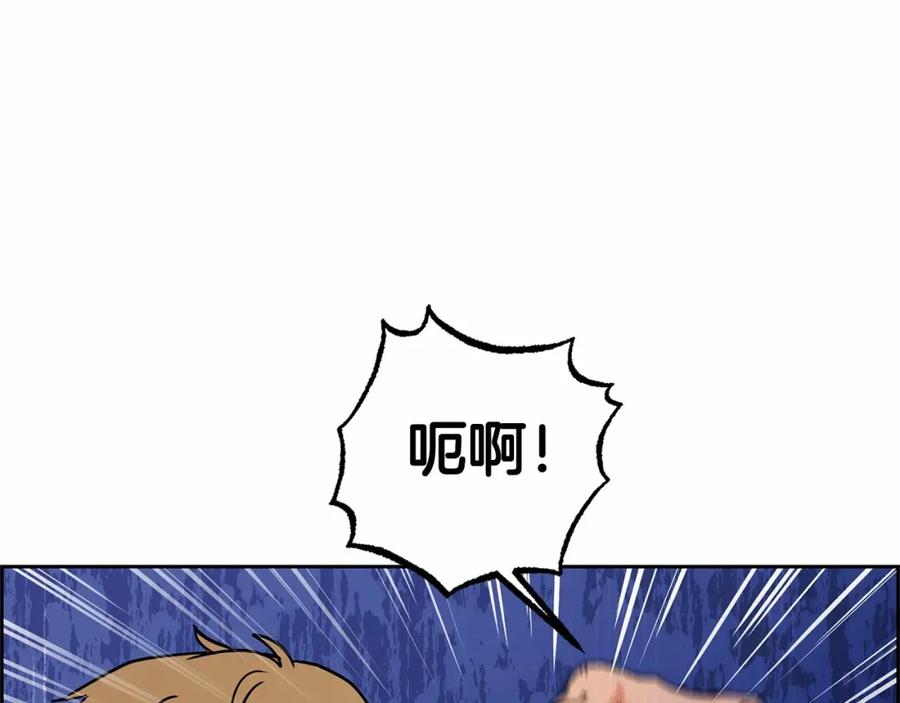 第239页