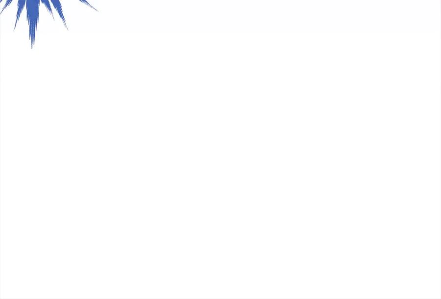 第206页