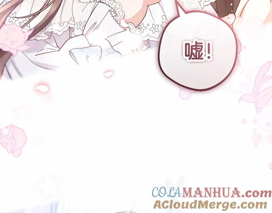 第217页