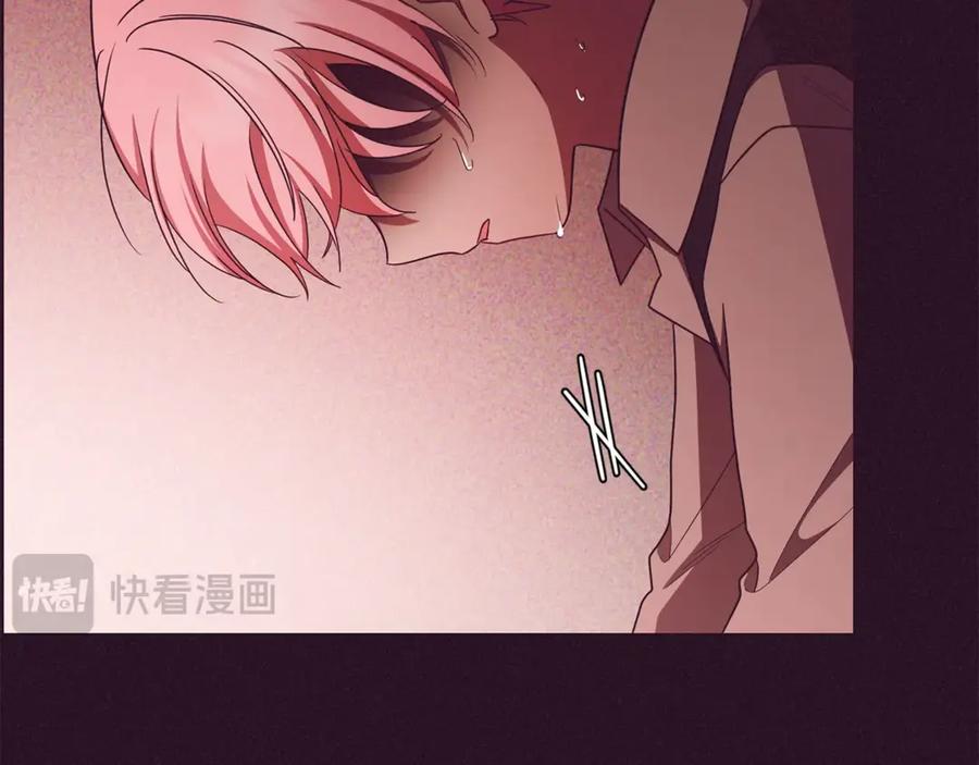 第204页