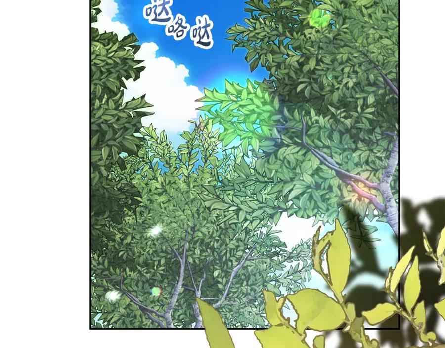 第231页