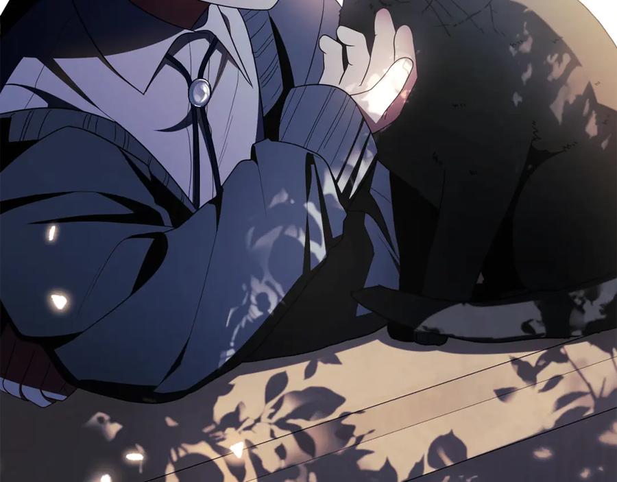 第234页