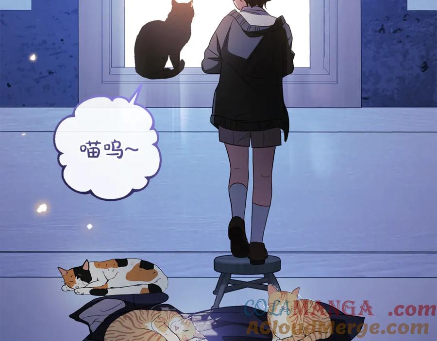 第237页